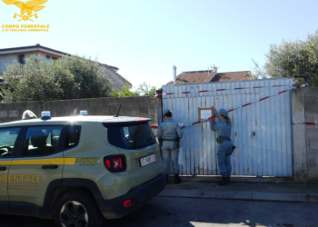 Gli uomini della Stazione forestale di Oristano hanno individuato e posto sotto sequestro un’area e alcuni locali utilizzati come autofficina meccatronica